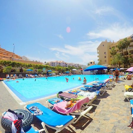 castle harbour Aparthotel Los Cristianos  Exteriör bild